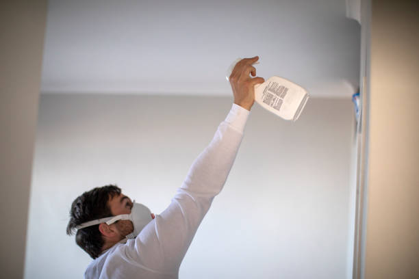 Best Attic Mold Removal  in Fort Belknap Agency, MT