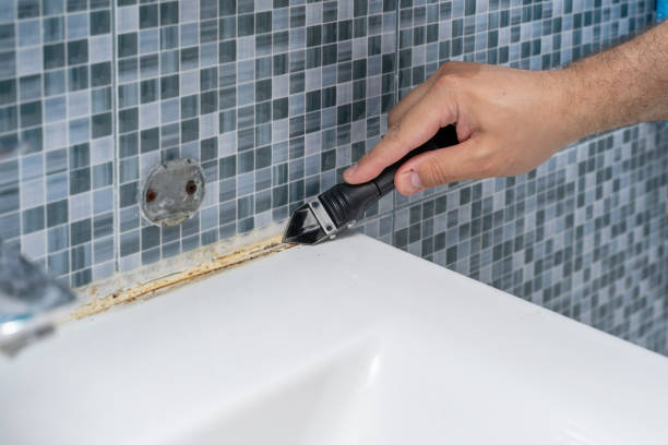 Best Mold Removal Company Near Me  in Fort Belknap Agency, MT