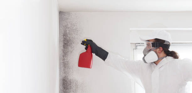 Water Damage Restoration in Fort Belknap Agency, MT
